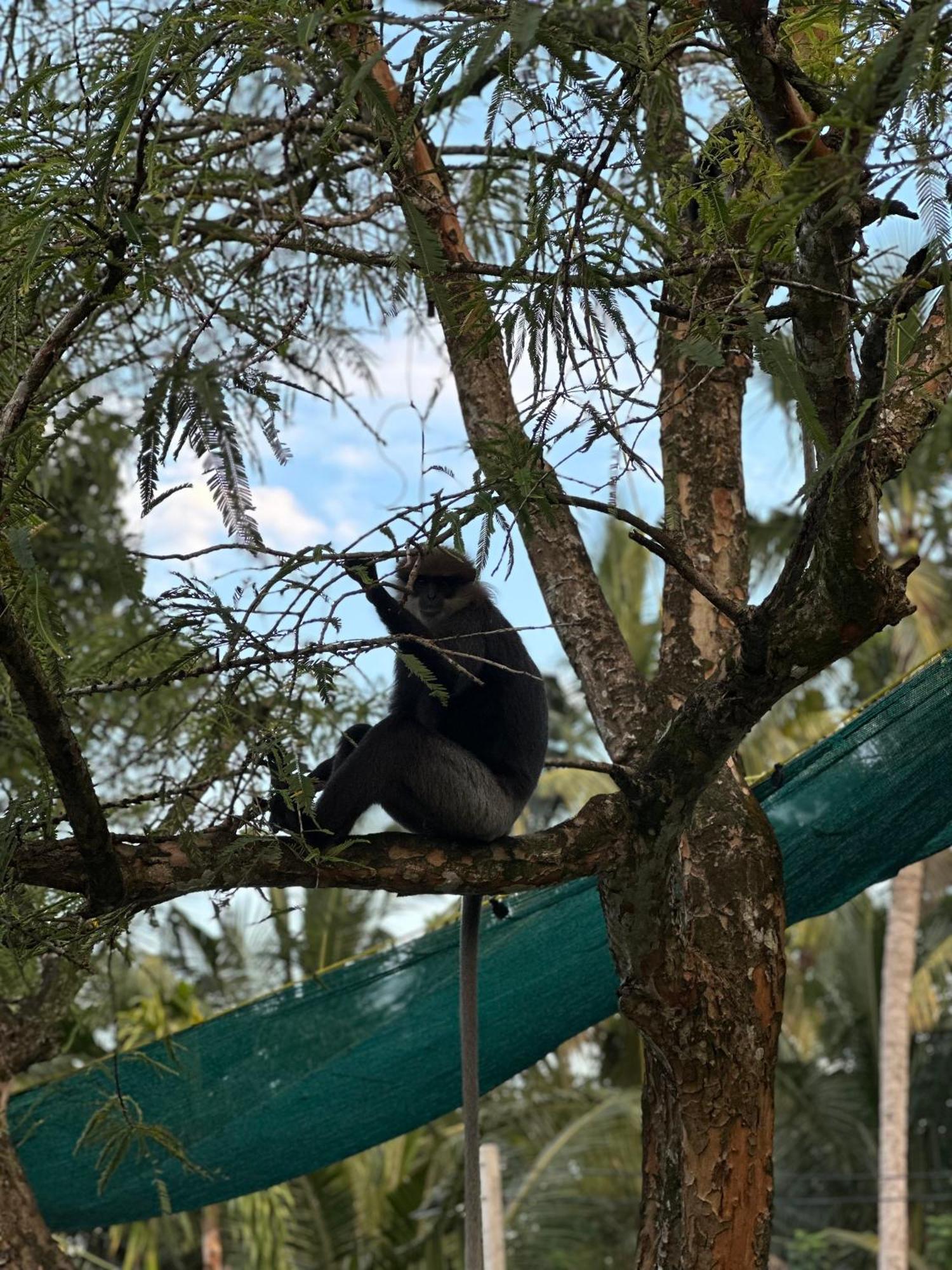 Mango Tree Villa Унаватуна Екстер'єр фото