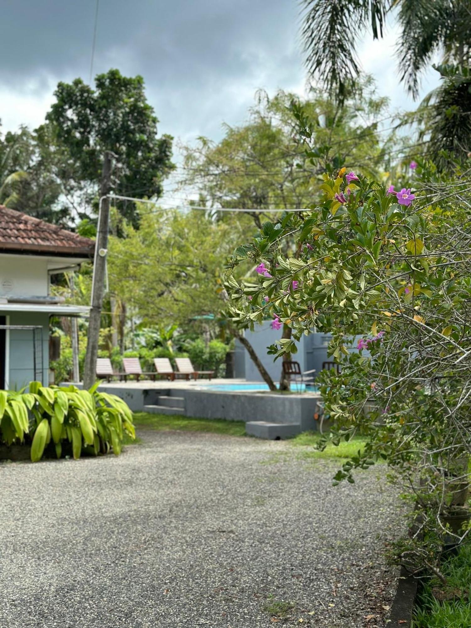 Mango Tree Villa Унаватуна Екстер'єр фото